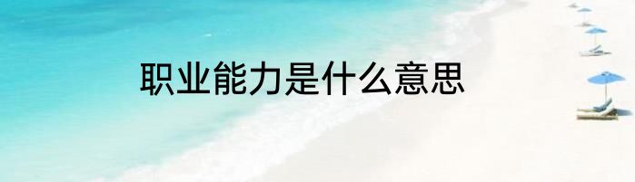 职业能力是什么意思