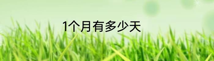 1个月有多少天