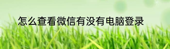 怎么查看微信有没有电脑登录