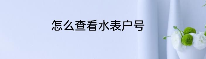 怎么查看水表户号