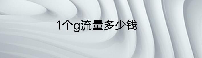 1个g流量多少钱