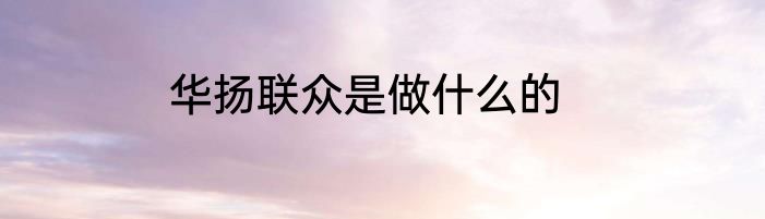 华扬联众是做什么的