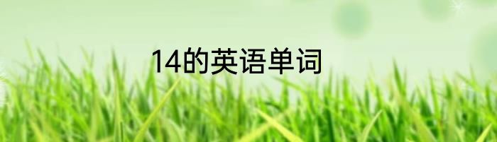 14的英语单词