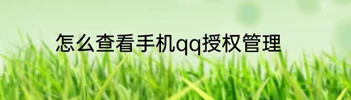 怎么查看手机qq授权管理