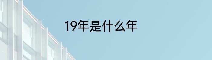19年是什么年