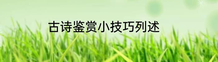古诗鉴赏小技巧列述