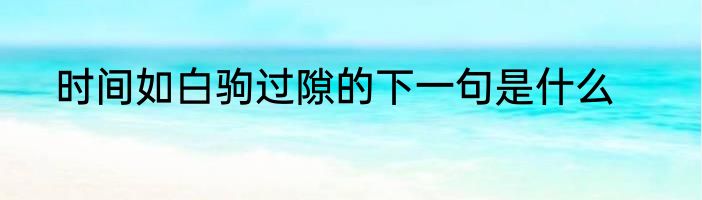时间如白驹过隙的下一句是什么