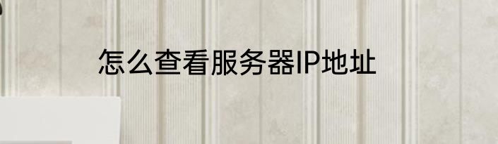 怎么查看服务器IP地址