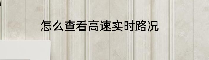 怎么查看高速实时路况