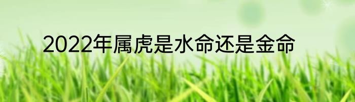 2022年属虎是水命还是金命