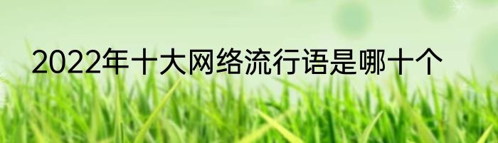 2022年十大网络流行语是哪十个