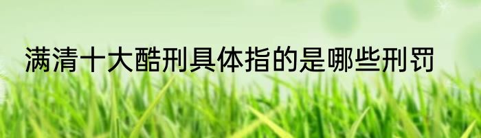 满清十大酷刑具体指的是哪些刑罚