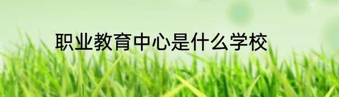 职业教育中心是什么学校