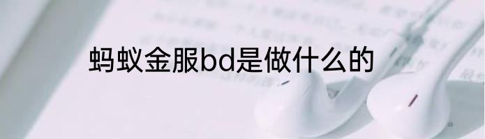 蚂蚁金服bd是做什么的