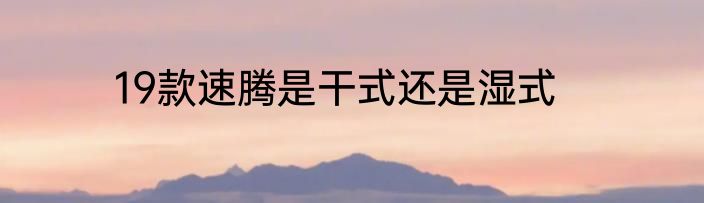 19款速腾是干式还是湿式