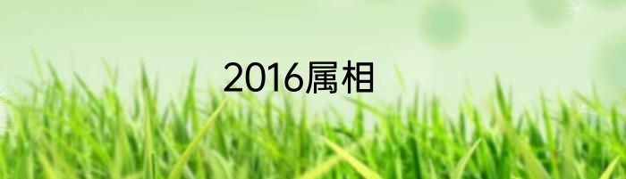 2016属相