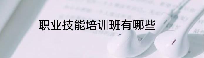 职业技能培训班有哪些