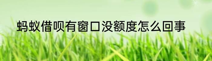 蚂蚁借呗有窗口没额度怎么回事