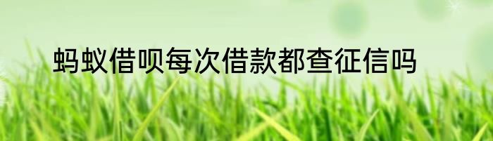 蚂蚁借呗每次借款都查征信吗