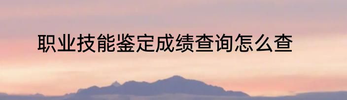 职业技能鉴定成绩查询怎么查