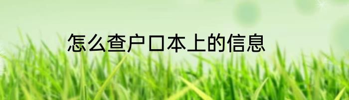 怎么查户口本上的信息