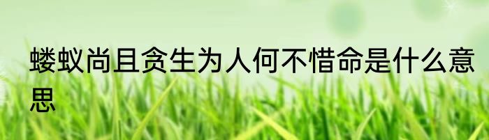 蝼蚁尚且贪生为人何不惜命是什么意思