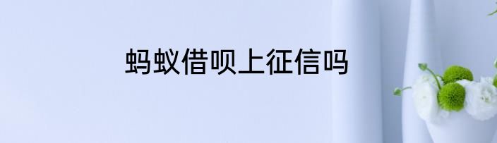 蚂蚁借呗上征信吗