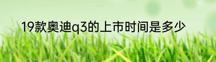 19款奥迪q3的上市时间是多少