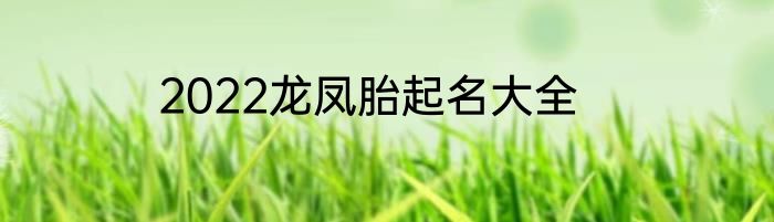 2022龙凤胎起名大全