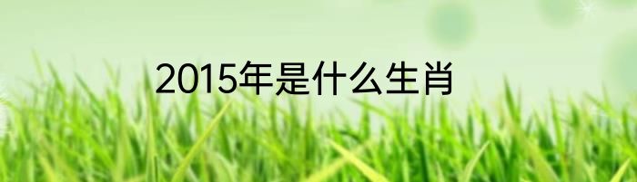 2015年是什么生肖