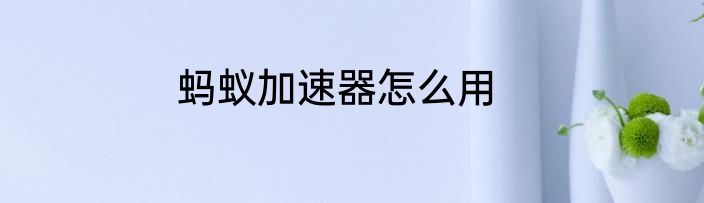 蚂蚁加速器怎么用