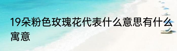 19朵粉色玫瑰花代表什么意思有什么寓意