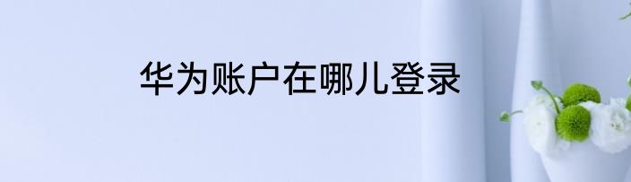 华为账户在哪儿登录