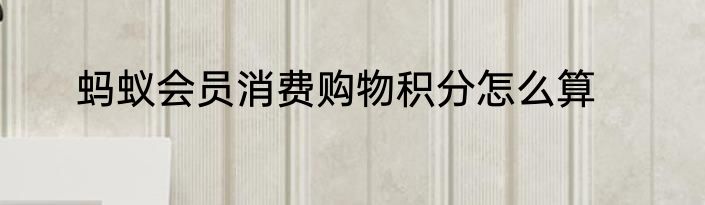 蚂蚁会员消费购物积分怎么算