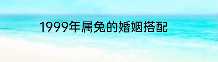 1999年属兔的婚姻搭配