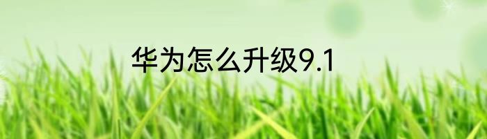 华为怎么升级9.1