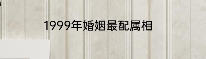 1999年婚姻最配属相