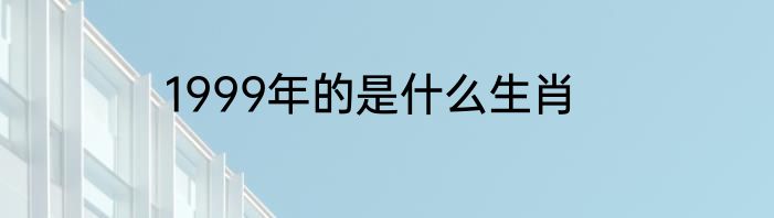 1999年的是什么生肖