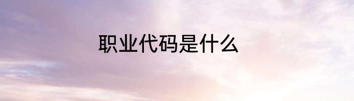 职业代码是什么