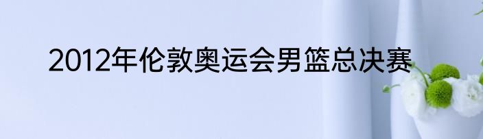 2012年伦敦奥运会男篮总决赛