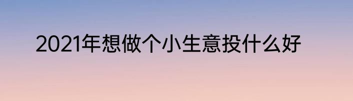 2021年想做个小生意投什么好