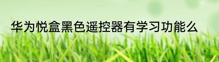 华为悦盒黑色遥控器有学习功能么