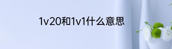 1v20和1v1什么意思