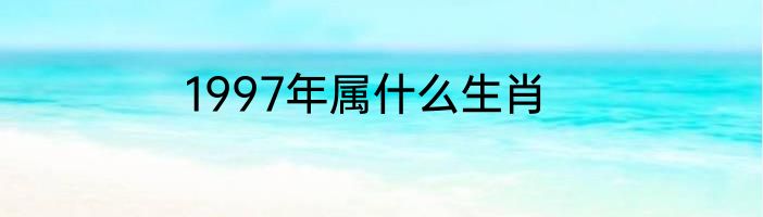 1997年属什么生肖