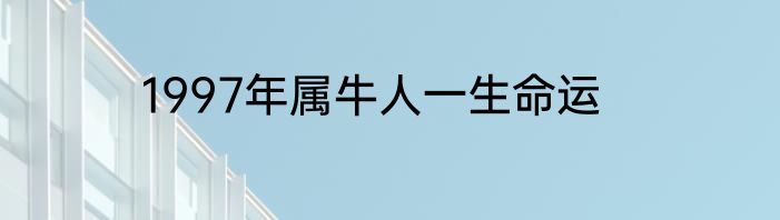 1997年属牛人一生命运