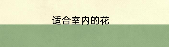 适合室内的花