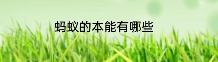 蚂蚁的本能有哪些