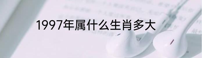1997年属什么生肖多大