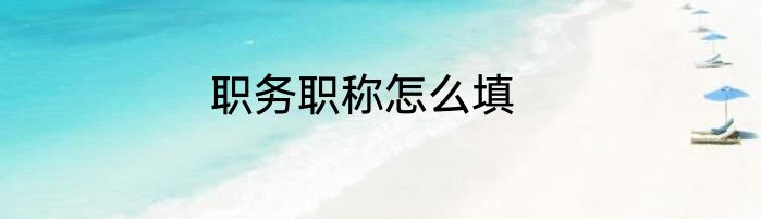职务职称怎么填