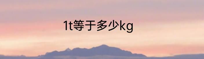 1t等于多少kg